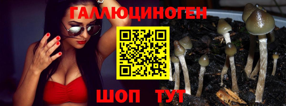 Псилоцибиновые грибы мицелий Ставрополь